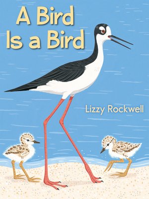 cover image of A Bird Is a Bird